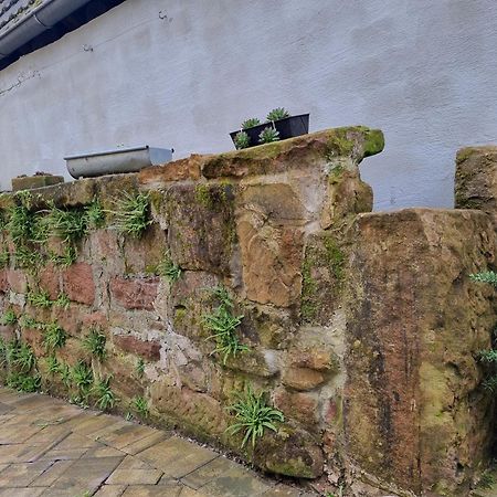 Haus Ziegenblick Villa Herbolzheim Dış mekan fotoğraf