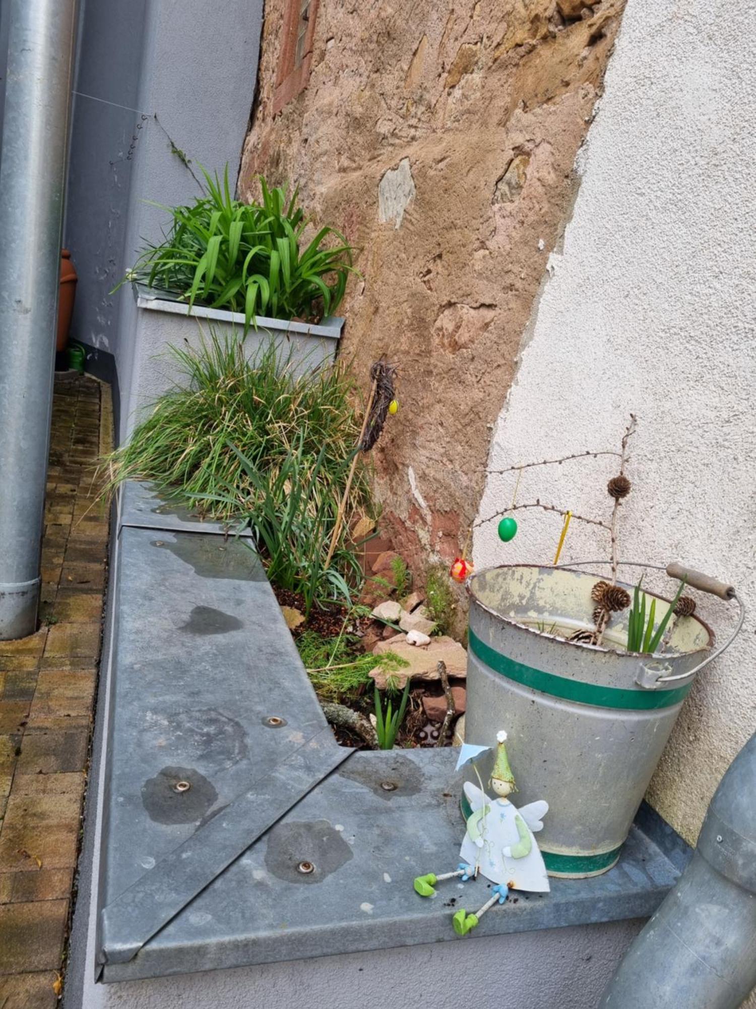 Haus Ziegenblick Villa Herbolzheim Dış mekan fotoğraf